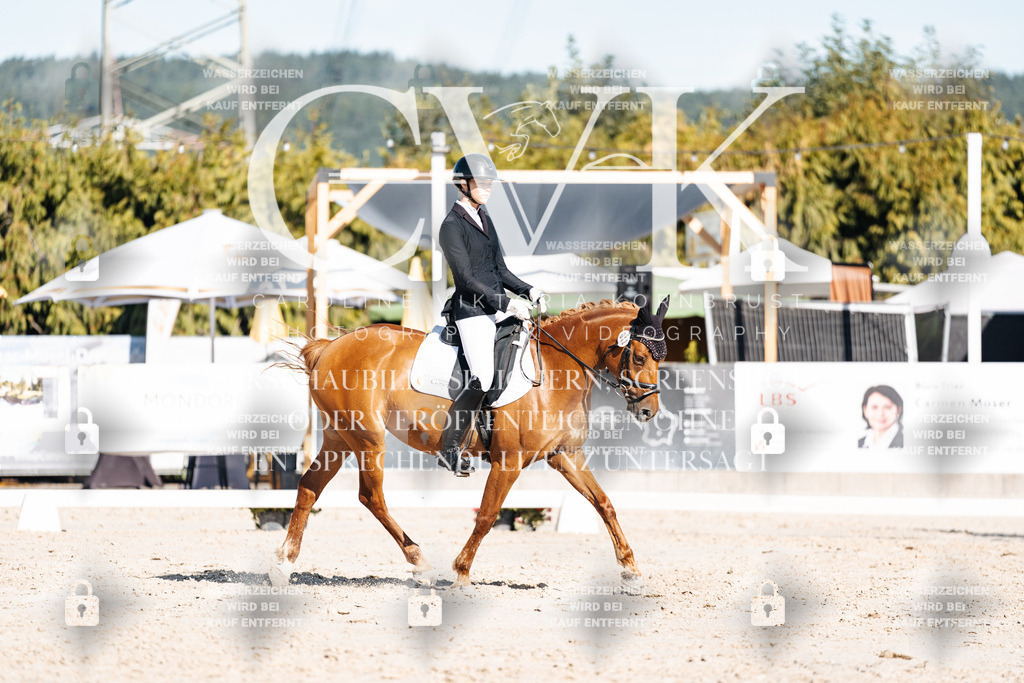 CK907779 | Turnierfotografie Pferdefotografie Trier Rheinland-Pfalz Pferdesport Reitsport Tierfotografie Sportfotografie Pferdevideo Pferdevideografie Equestrianvideography equestrianphotography  - Realisiert mit Pictrs.com