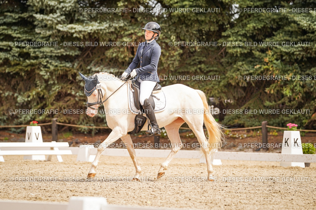 DSC01945 | Pferdegrafie