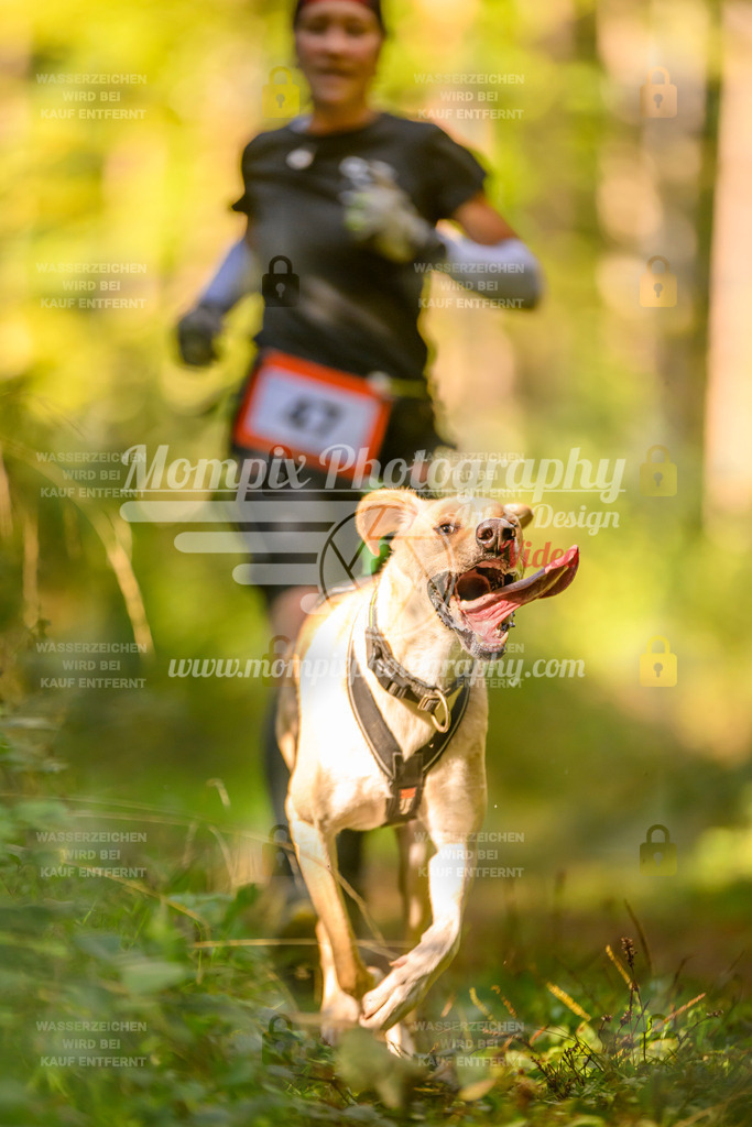 MompixPhotography_Yens2025_B3-14 | PayLife