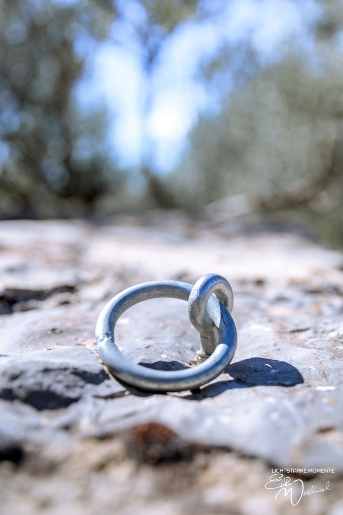 Thoronet, La Bastide | Herzlich willkommen auf meiner Seite! Ich bin Elke Wallnisch, Deine Fotografin für lichtstarke Momente. Der Name steht für alles, was mich mit der Fotografie verbindet: Das Licht und seine machtvolle Wirkung auf eine Situation oder unsere Stimmung - Realisiert mit Pictrs.com