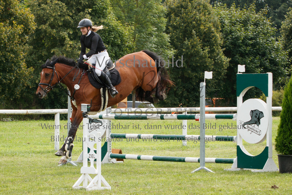 IMG_3124 | P. Berger Fotografie - Realisiert mit Pictrs.com