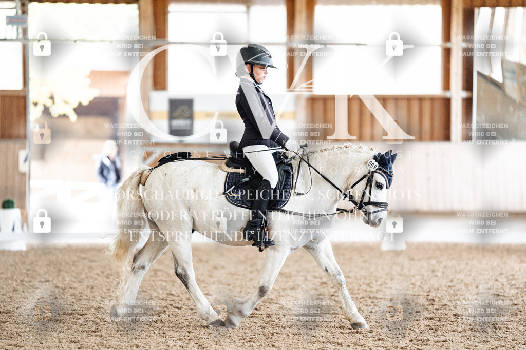 CK900968 | Turnierfotografie Pferdefotografie Trier Rheinland-Pfalz Pferdesport Reitsport Tierfotografie Sportfotografie Pferdevideo Pferdevideografie Equestrianvideography equestrianphotography  - Realisiert mit Pictrs.com