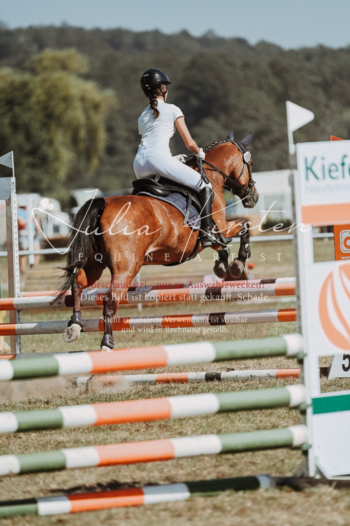 DSC_9886 | Pferde- und Turnierfotografie in Westsachsen. Pferdeportraits, Auftragszeichnungen und intuitive Kunst.