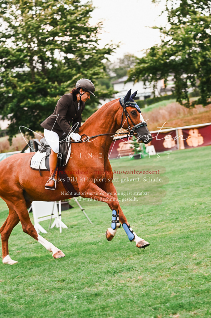 DSC_5902 | Pferde- und Turnierfotografie in Westsachsen. Pferdeportraits, Auftragszeichnungen und intuitive Kunst.