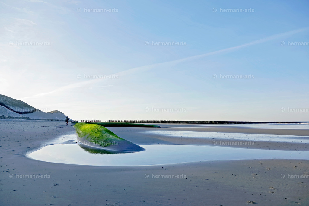 Nature-Arts-019 | Photo Foto Kunst Art schwarzweiss Bilder Rheine Münster Berlin Blumen 