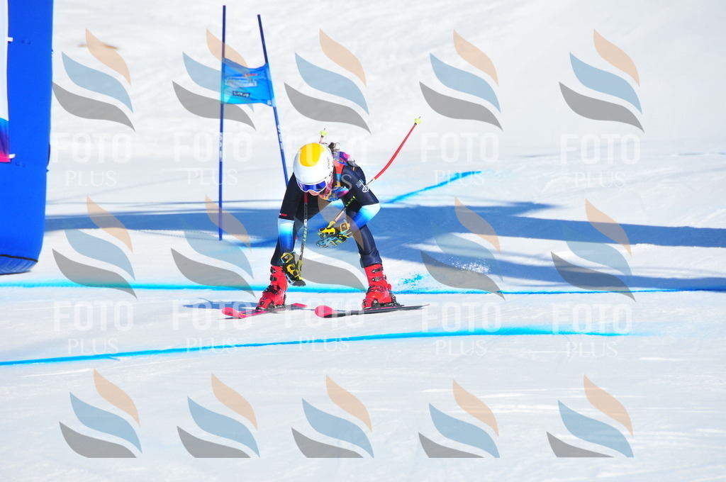 DSC_3662 | holidayphoto