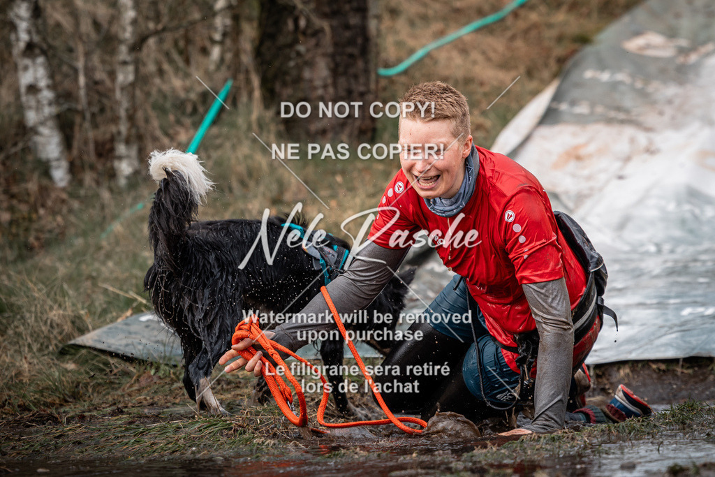 nelerasche_1330-1400_203 | nelerasche