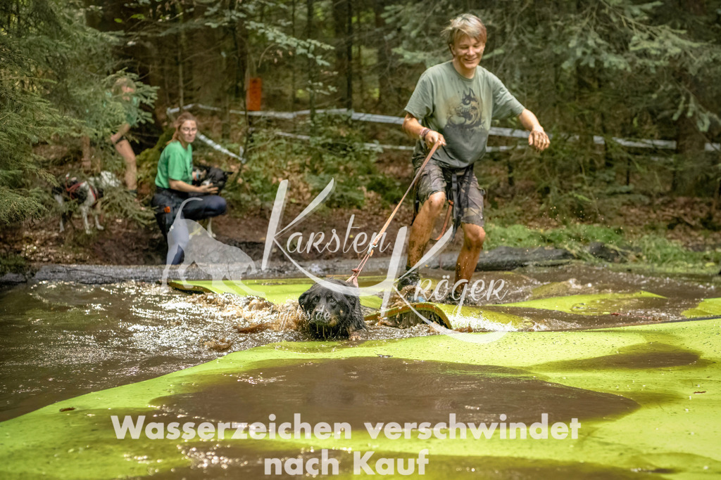 1410_ZZ91288-Bearbeitet | kk-dogfotos