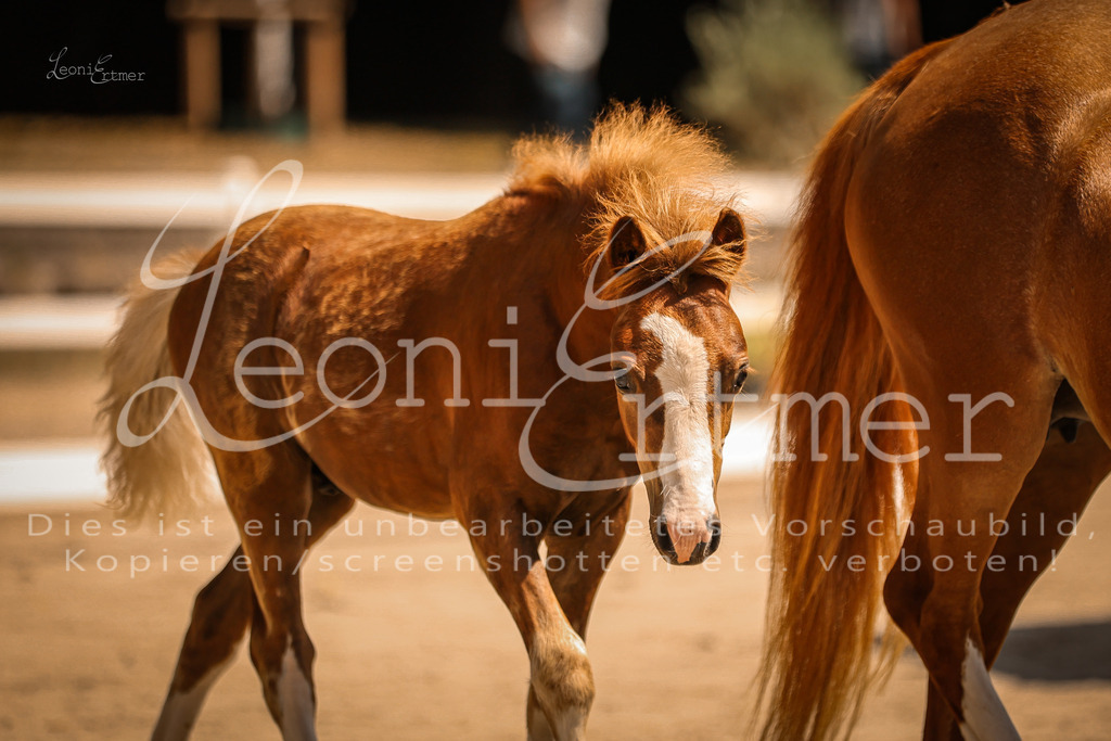 04.DoWP00003 | Leoni Ertmer Photography - Realisiert mit Pictrs.com