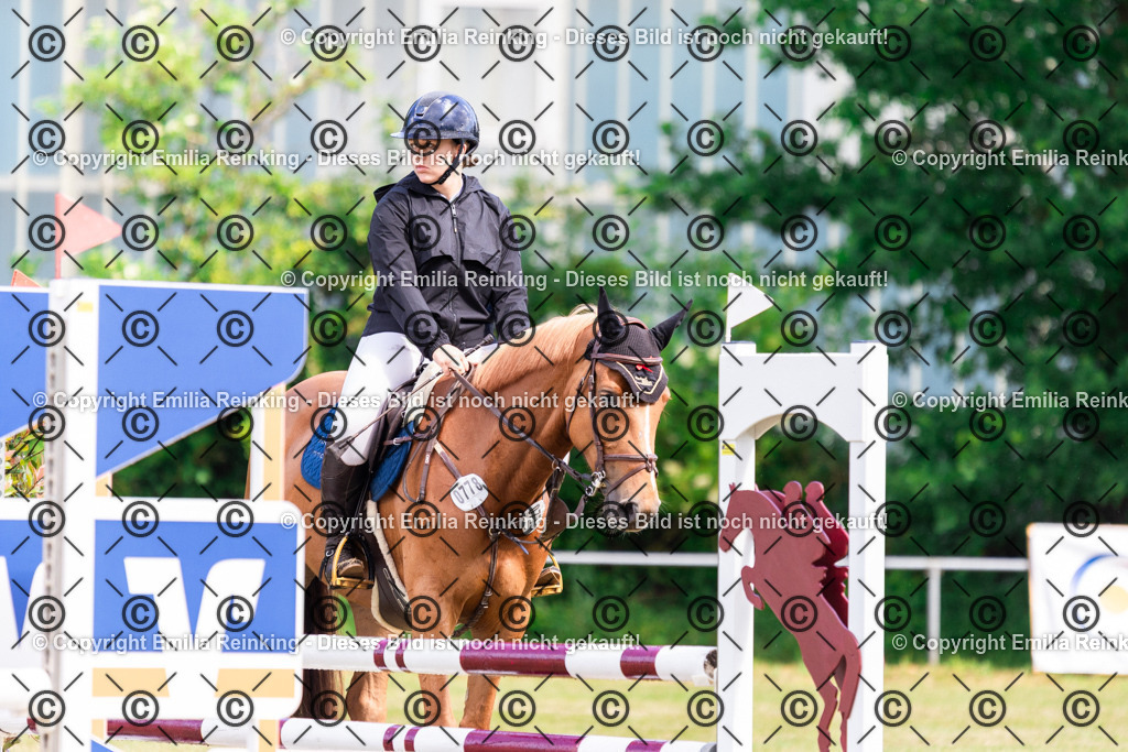 CL5A5606 | Emilia Reinking Fotografie - Realisiert mit Pictrs.com