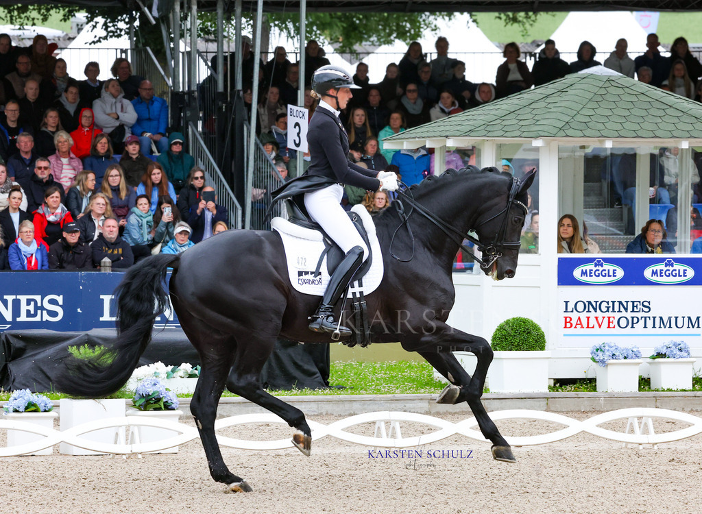 1B3A7331 | Reitsport Reiten