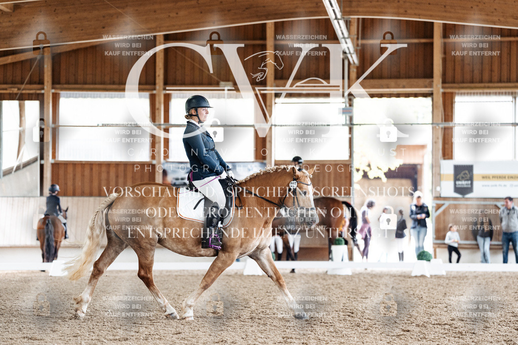 CK900582 | Turnierfotografie Pferdefotografie Trier Rheinland-Pfalz Pferdesport Reitsport Tierfotografie Sportfotografie Pferdevideo Pferdevideografie Equestrianvideography equestrianphotography  - Realisiert mit Pictrs.com