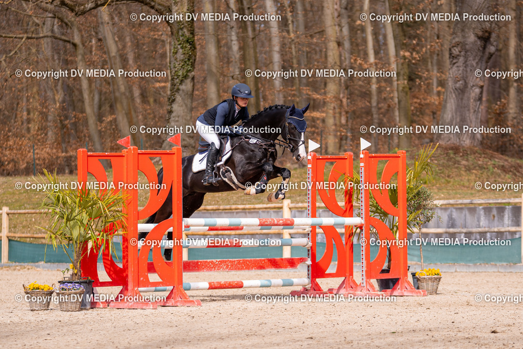 Kranichstein Tag 1-630 | dv-media-shop - Realisiert mit Pictrs.com