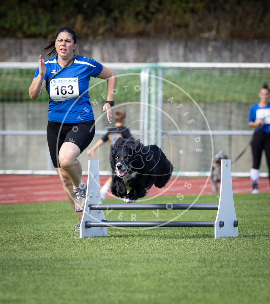 Pfotenfotografie_DV3A9688 | Hundefotografie, Tierfotograf, Pfotenfotografie, Fotoshooting Hund, Hunde Portrait, Hundesport, Hundeportraits, Heideshooting, Hunde, Sportfotograf, Hundefotograf, Turnierhundsport, THS,  - Realisiert mit Pictrs.com