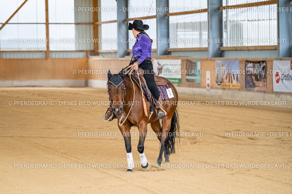 DSC07827 | Pferdegrafie