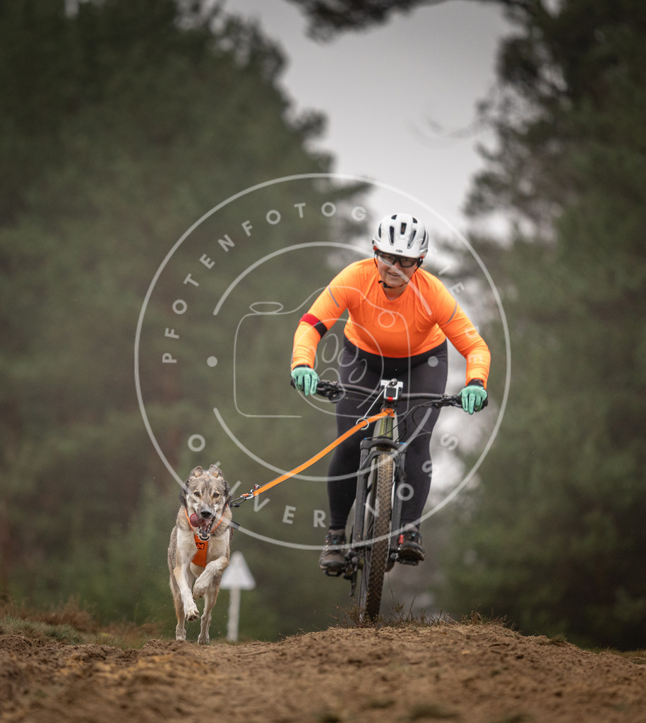 Pfotenfotografie_DV3A3538 | Hundefotografie, Tierfotograf, Pfotenfotografie, Fotoshooting Hund, Hunde Portrait, Hundesport, Hundeportraits, Heideshooting, Hunde, Sportfotograf, Hundefotograf, Turnierhundsport, THS,  - Realisiert mit Pictrs.com