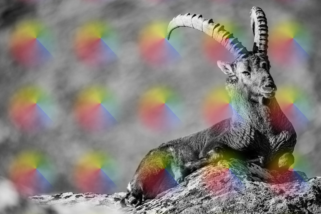 1M5A3979 | FineArtPrint, Hahnemühle, FeeGalerie, Fee Galerie, Fotokunst, Fotografie, Canonphotography, Bergfoto, Matterhorn, Rimpfischhorn, Allalinhorn, Saas-Fee, Wallis, Valais, Switzerland, Bergfotografie