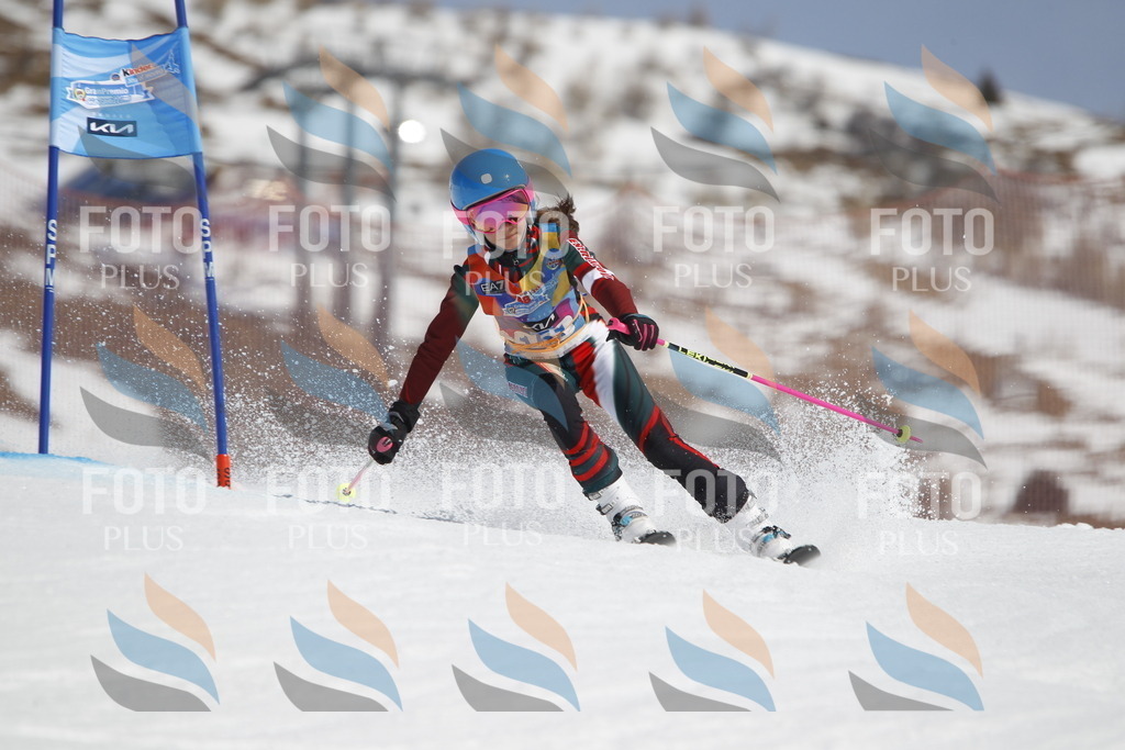 _U3G1232 | holidayphoto