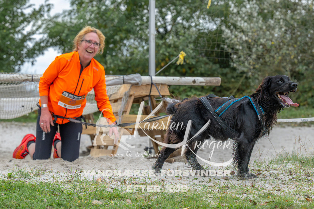 1029_ZZ94056 | kk-dogfotos