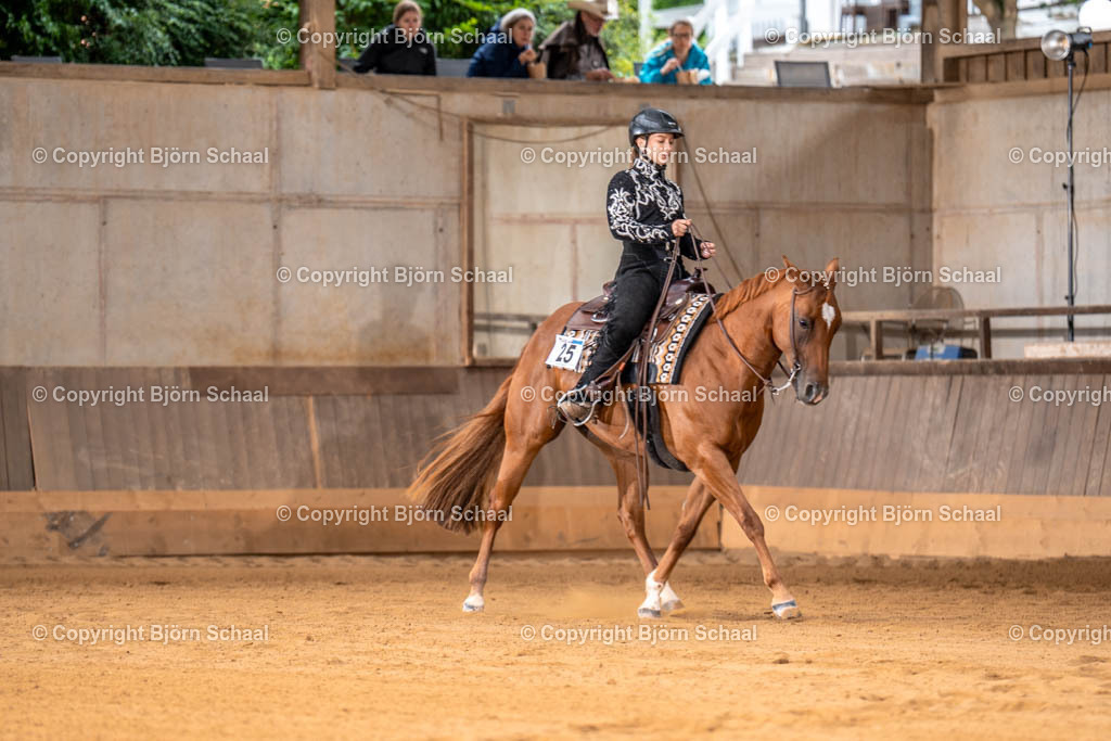 LMS03511 | BS-foto