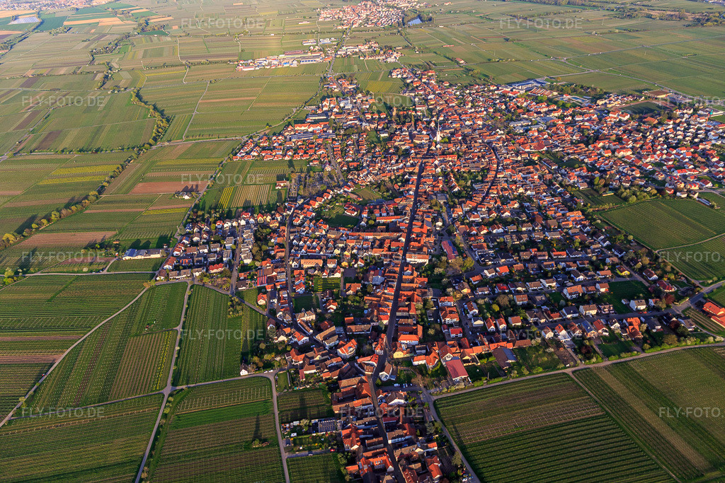 Luftbild: Stadtübersicht im Frühling aus Westen in Maikammer im Bundesland Rheinland-Pfalz in Deutschland. Foto: IMG_106591.jpg vom 17.04.2018 durch Werner Riehm/FLY-FOTO.de