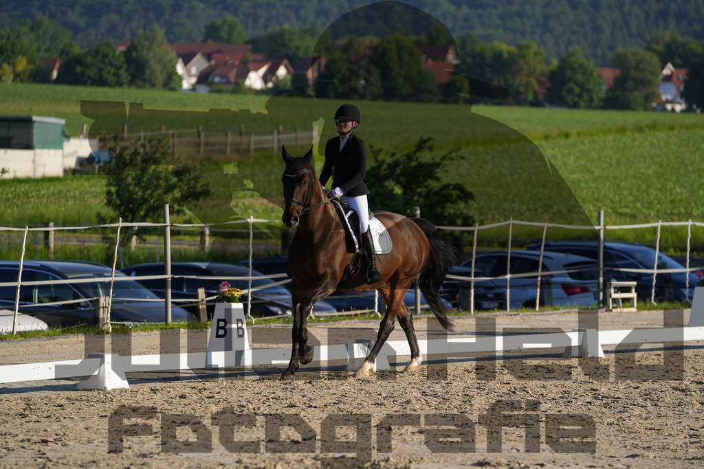 DSC02665 | Julian Held Fotografie - Realisiert mit Pictrs.com