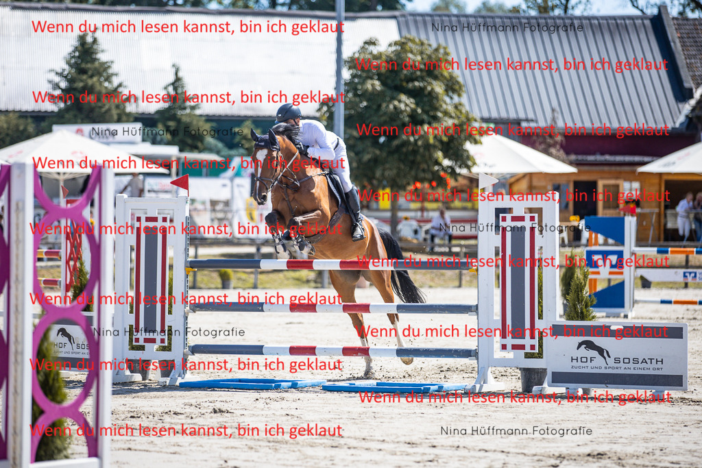 BK1A6235 | Turnierbilder Turnierfotos Nina Hüffmann Turnierfotografie Pferdefotografie Tierzeichnung Haustierzeichnung Pferdezeichnung Hundezeichnung Videograf  - Realisiert mit Pictrs.com
