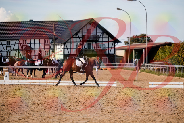 2026_10_03_Siefer-Hof_131201_Z63_75449800 | Professionelle Reitsport-, Turnier- und Eventfotografie von Robert Broda. Galerien mit ausgewählten und bearbeiteten Bildern direkt online ansehen und bestellen.