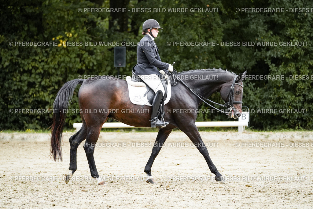 DSC00494 | Pferdegrafie