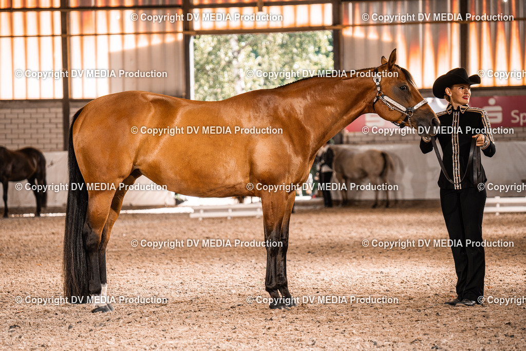 ZH100053 | dv-media-shop - Realisiert mit Pictrs.com