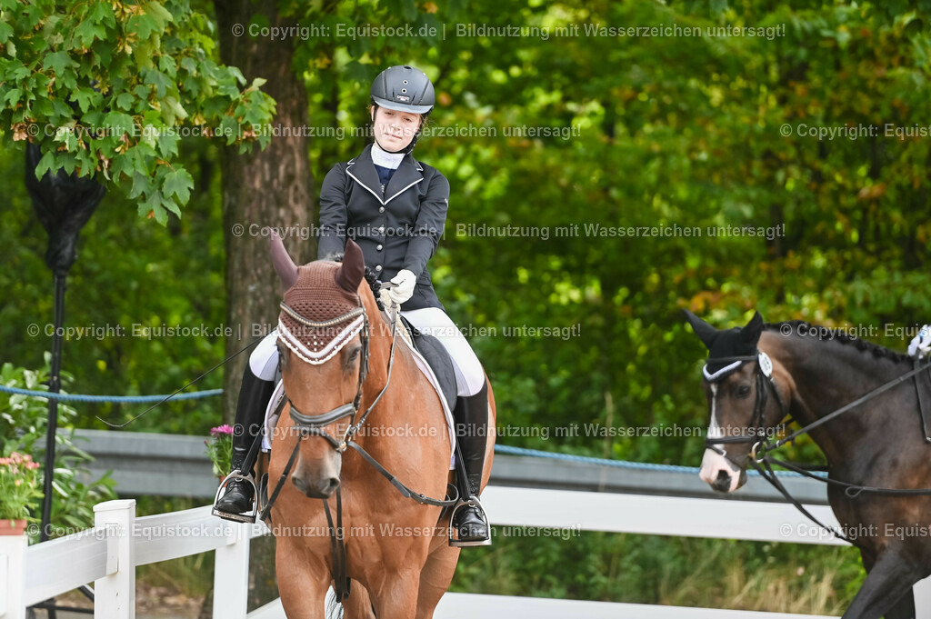 20230716_10-1_Reiter-WB Schritt - Trab - Galopp_0026 | equistock