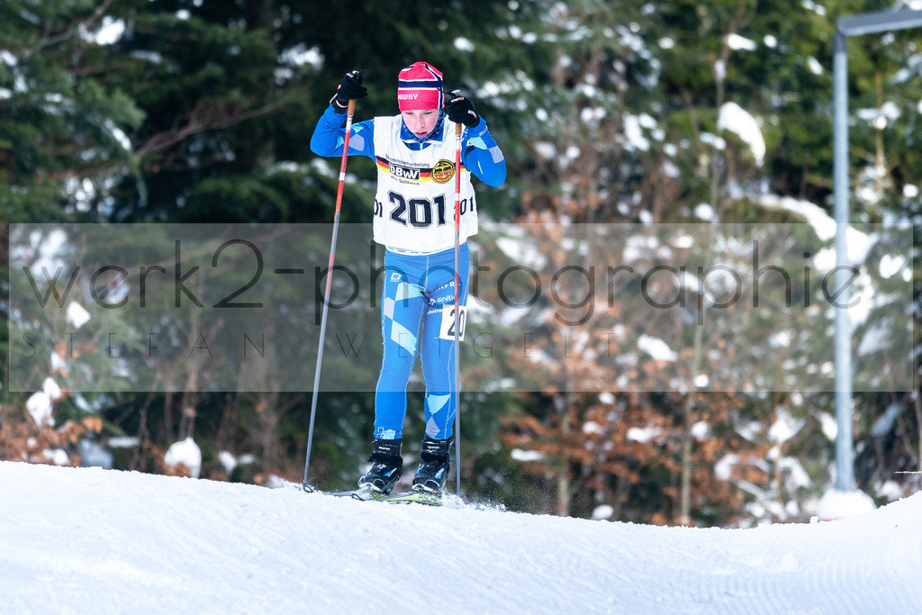 DSC Arber | Bayerischer Wald am 15. und 16. Januar 2022