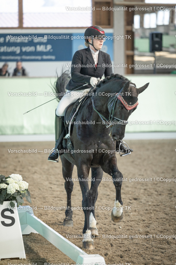 _D5A2711 | Emotionale Pferde- & People-Fotografie rund um Heidelberg, Leimen & Umgebung. Natürliche Fotos von Pferd, Mensch & Familie. Jetzt Termin sichern!