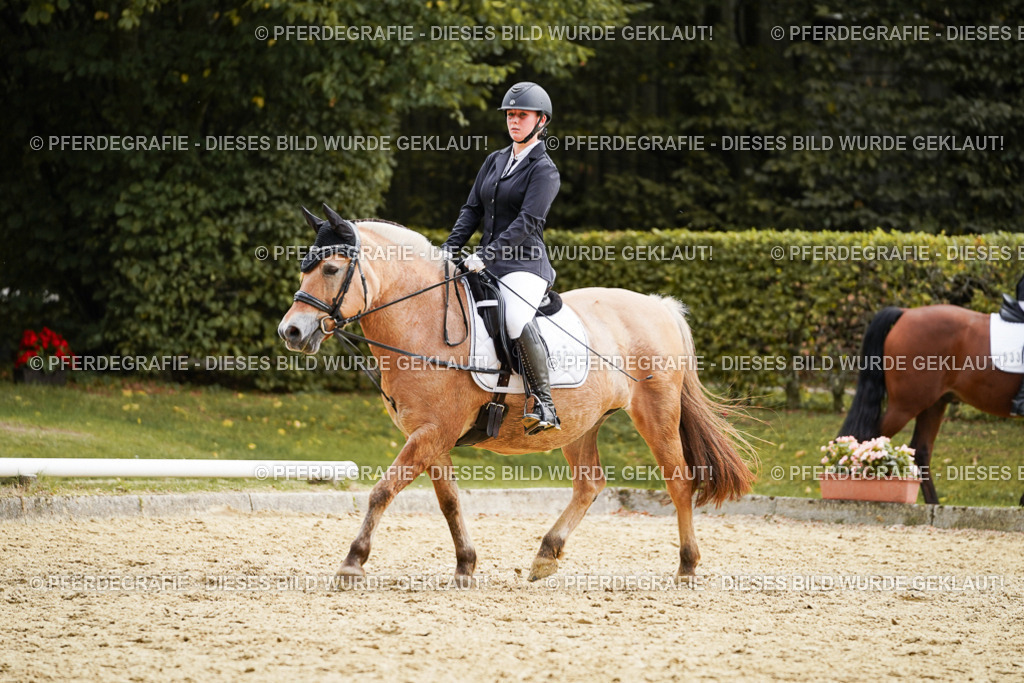 DSC01175 | Pferdegrafie