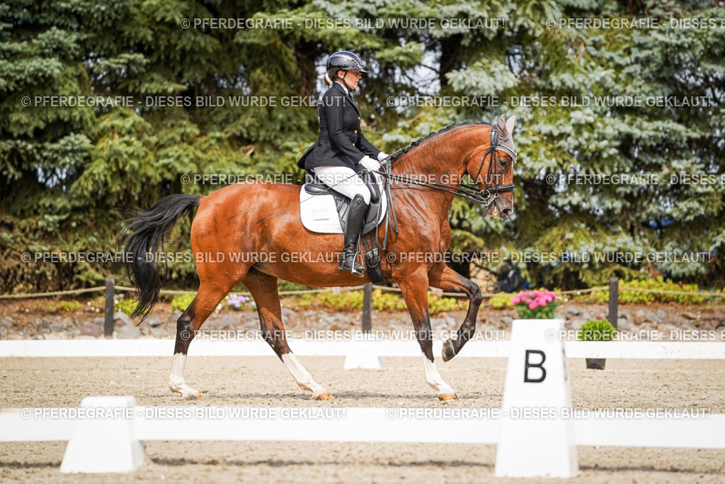 DSC05431 | Pferdegrafie