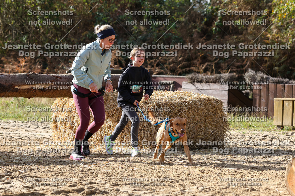 Dog Paparazzi - Strongdog 10-25-5934 | Dog Paparazzi Jeanette Grottendiek Fotografie & Videografie - Realisiert mit Pictrs.com