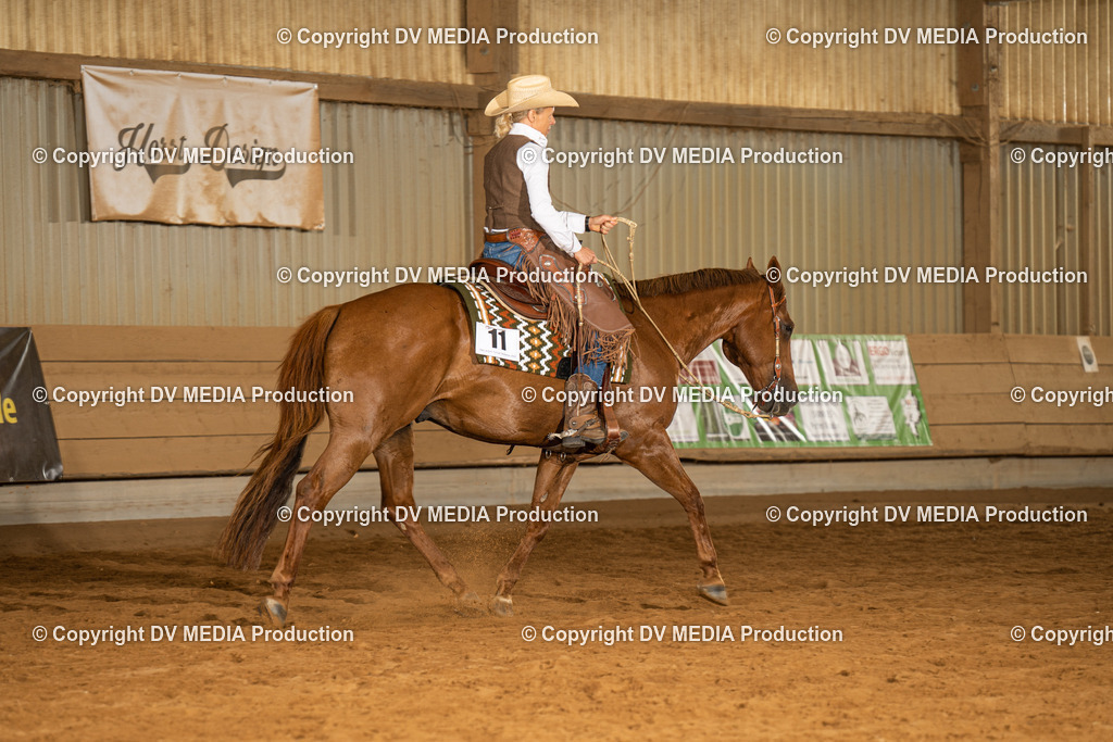 NID01454 | dv-media-shop - Realisiert mit Pictrs.com