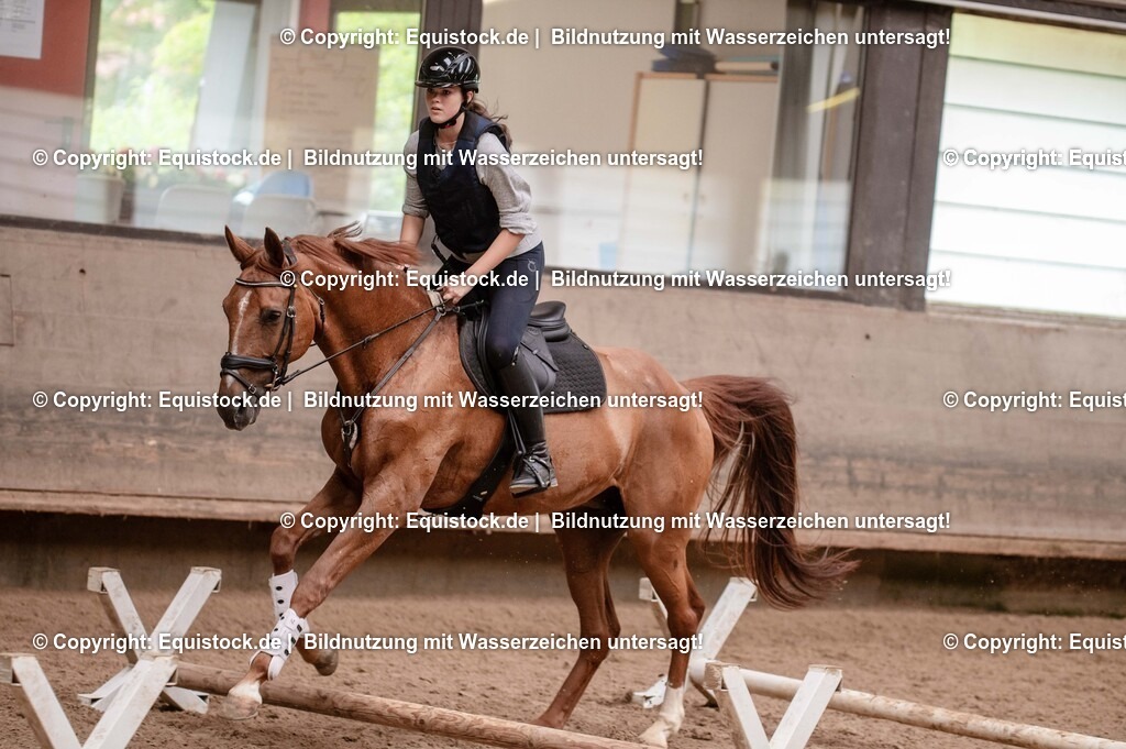 20250725_Vielseitigkeitslehrgang-Marbach_0226 | Foto: Thomas Hartig