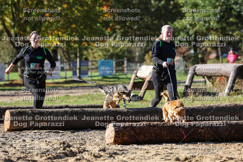 Dog Paparazzi - Strongdog 10-25-2669 | Dog Paparazzi Jeanette Grottendiek Fotografie & Videografie - Realisiert mit Pictrs.com