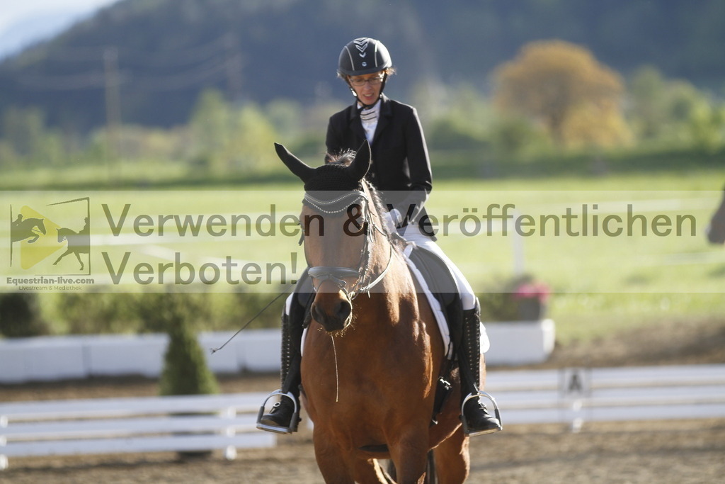 _MG_4328 | equestrian-live-com