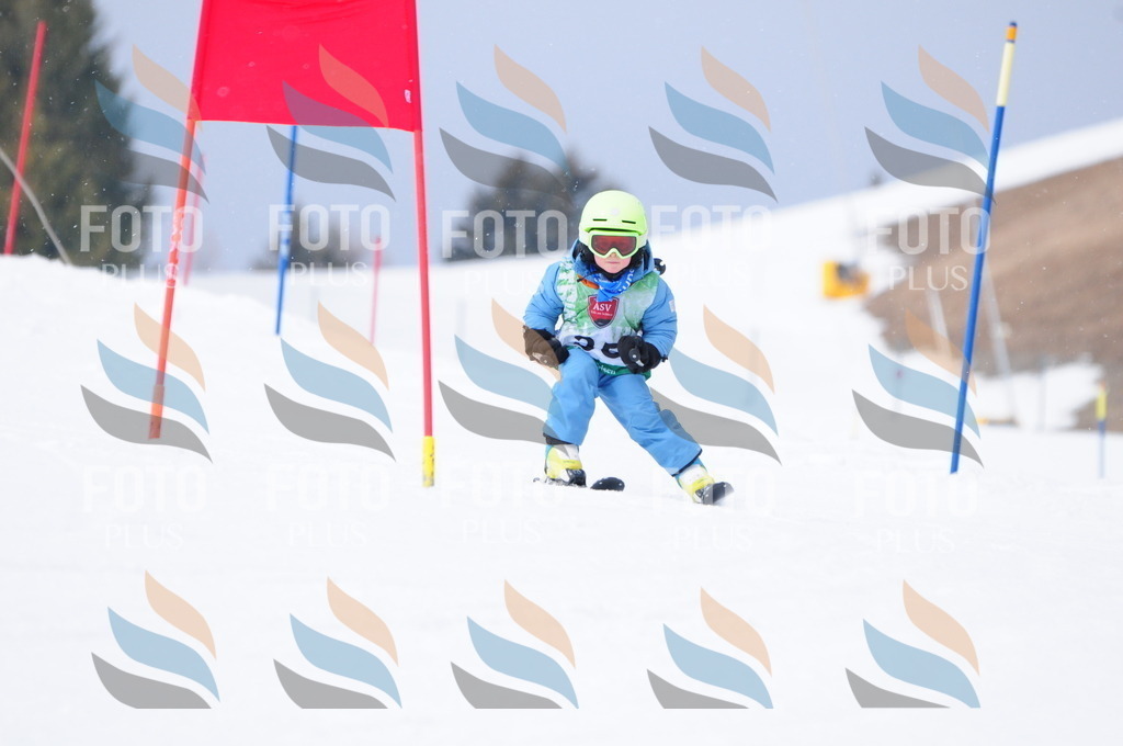 A3496 | holidayphoto