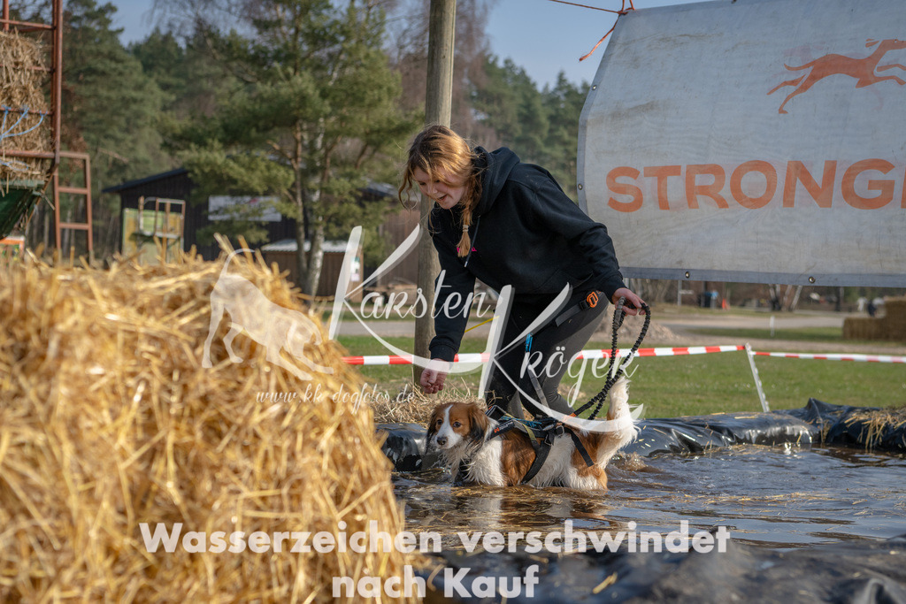 _ZZ90946 | kk-dogfotos