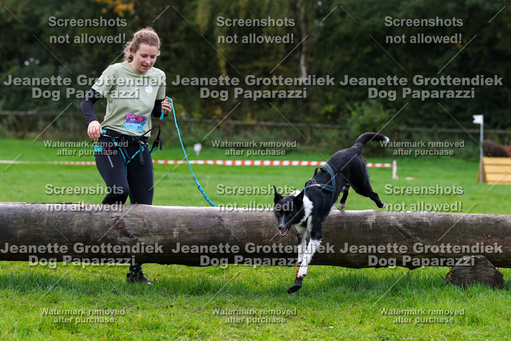 Dog Paparazzi -  SD1026-1249 | Dog Paparazzi Jeanette Grottendiek Fotografie & Videografie - Realisiert mit Pictrs.com