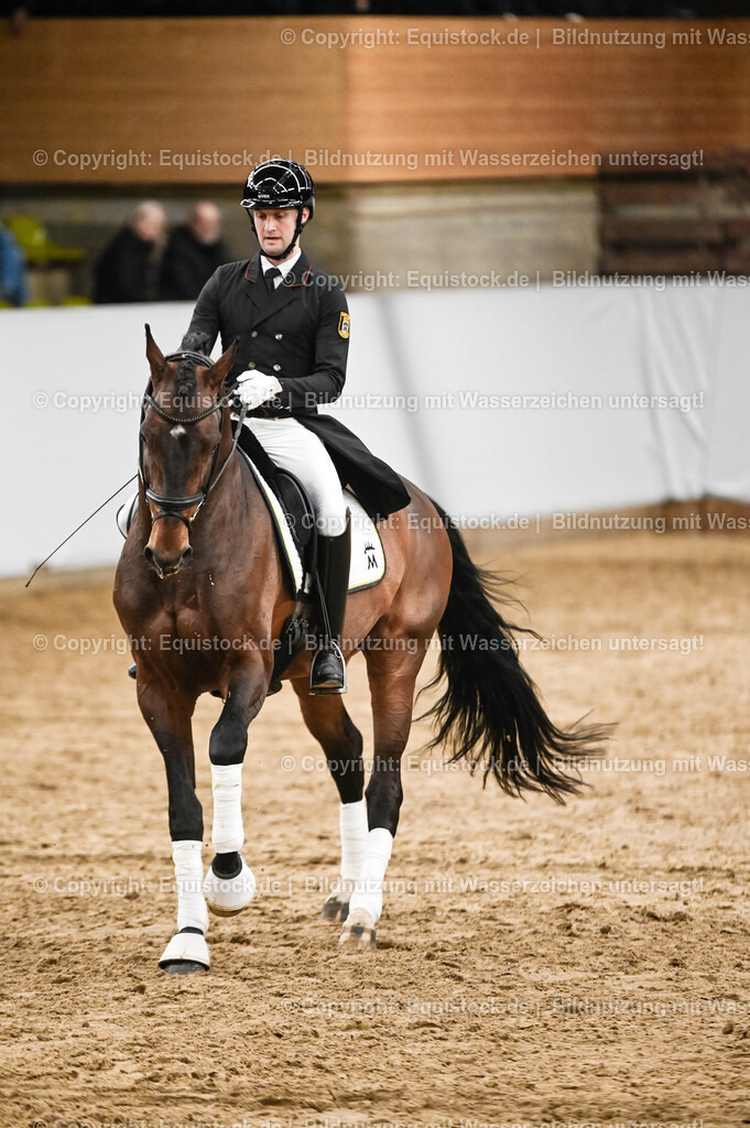 20260307_Hengstvorstellung-Marbach_0357 | equistock