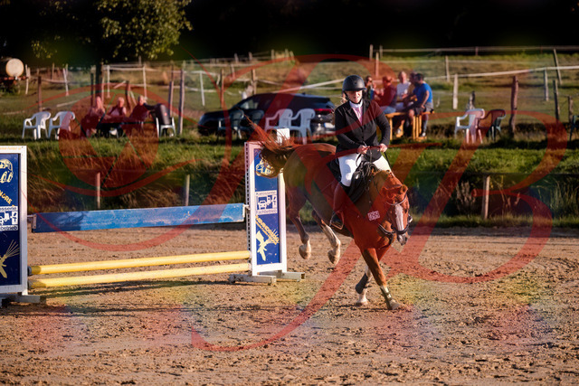 2026_10_03_Siefer-Hof_171751_Z81_15918531 | Professionelle Reitsport-, Turnier- und Eventfotografie von Robert Broda. Galerien mit ausgewählten und bearbeiteten Bildern direkt online ansehen und bestellen.