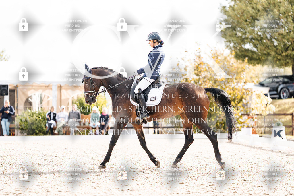 CK901467 | Turnierfotografie Pferdefotografie Trier Rheinland-Pfalz Pferdesport Reitsport Tierfotografie Sportfotografie Pferdevideo Pferdevideografie Equestrianvideography equestrianphotography  - Realisiert mit Pictrs.com