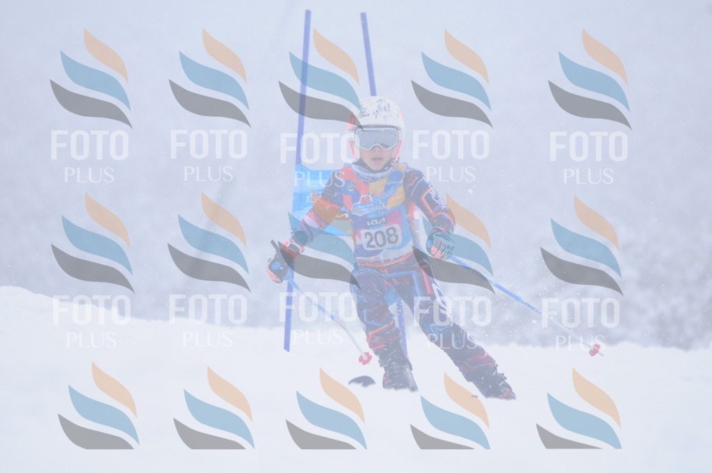 C2243 | holidayphoto