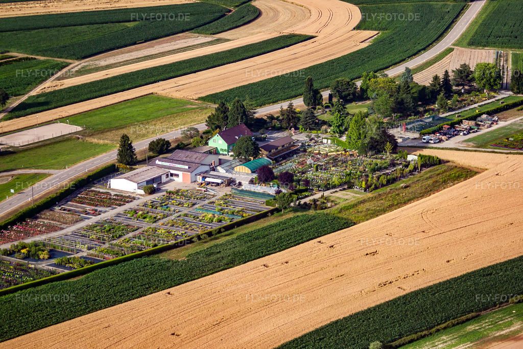 Luftbild: Gartenzeiten Schwarz im Ortsteil Bodersweier in Kehl im Bundesland Baden-Württemberg in Deutschland. Foto: IMG_30266.jpg vom 09.07.2010 durch Werner Riehm/FLY-FOTO.de