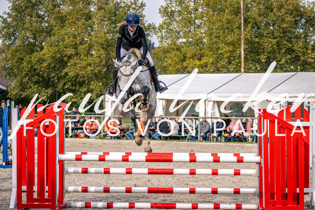 IMG_5390 | Erleben Sie dynamische Sport- und emotionale Tierfotografie in Süddeutschland mit Fotos von Paula. Spezialisiert auf Pferde- und Hundefotografie sowie Sportevents. Kontaktieren Sie mich für einzigartige und ausdrucksstarke Bilder Ihrer besonderen Momente.