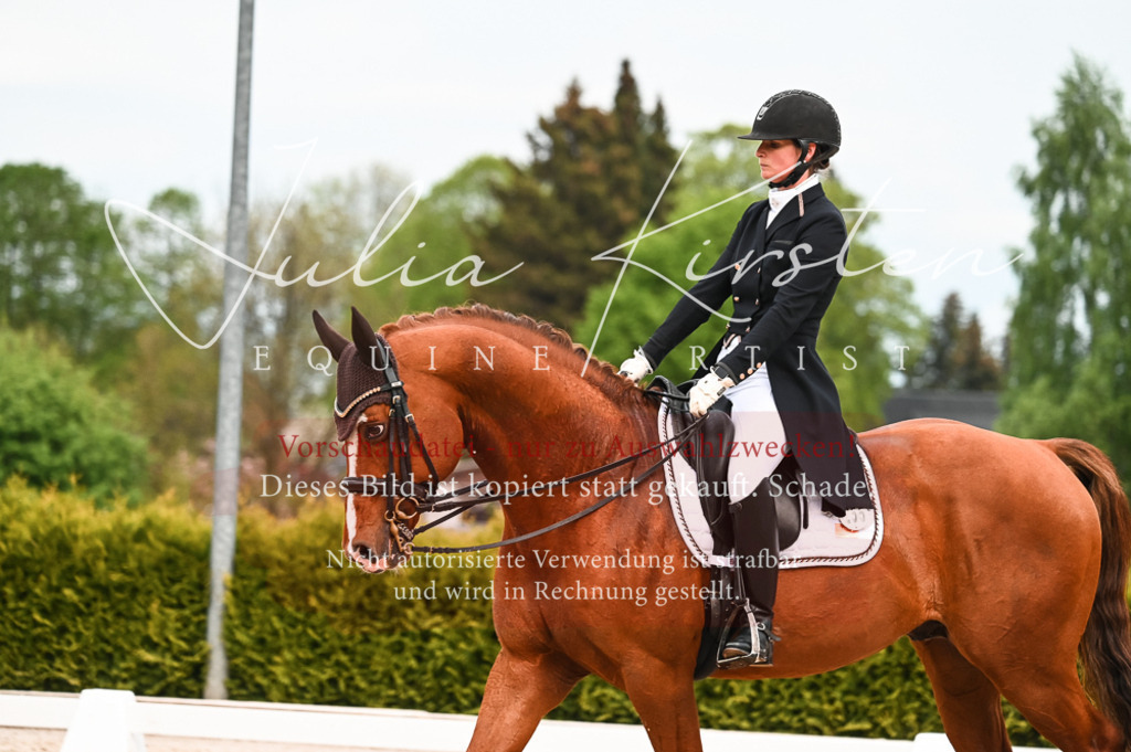 20230513_JK-Röhrsdorf-13-643 | Pferde- und Turnierfotografie in Westsachsen. Pferdeportraits, Auftragszeichnungen und intuitive Kunst.